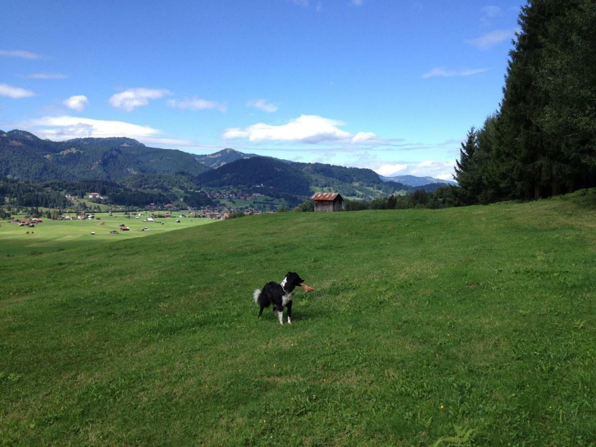 Geigers Ferienhaus Tiefenbach bei Oberstdorf Luaran gambar