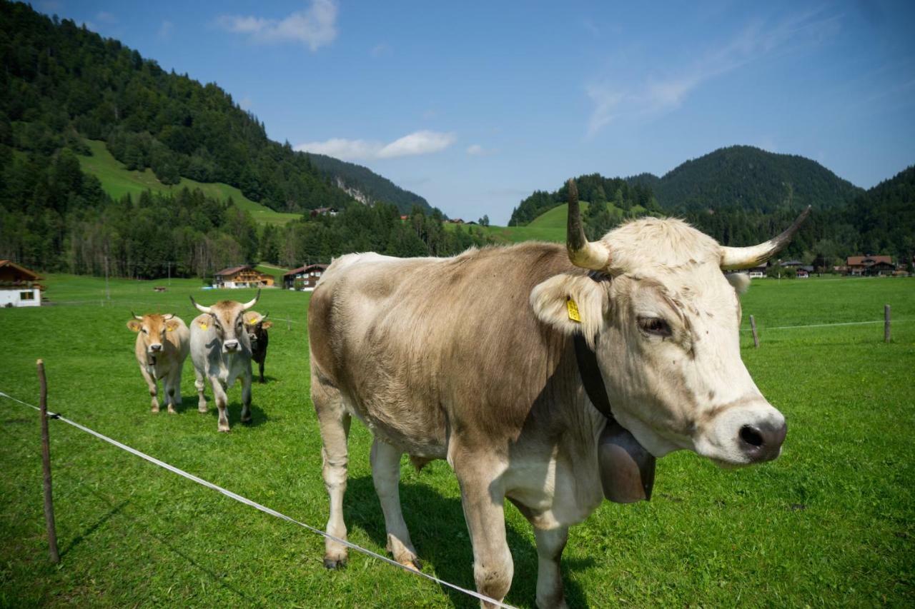 Geigers Ferienhaus Tiefenbach bei Oberstdorf Luaran gambar